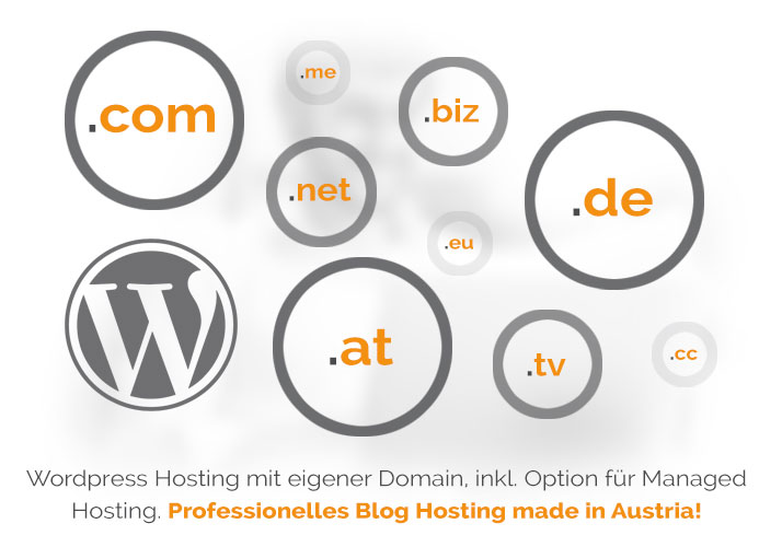 Günstiges Wordpress Hosting von Domainion inkl Managed Option für technisch unerfahrene Blogger